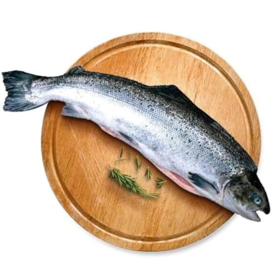 salmon